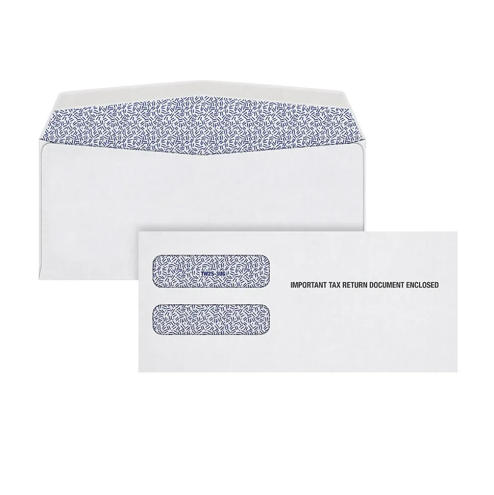 Gummed W-2 Double Window Envelope, 3 7/8" x 8 1/4", White, 100/Pack (DW3ALT100) | Adams Sale