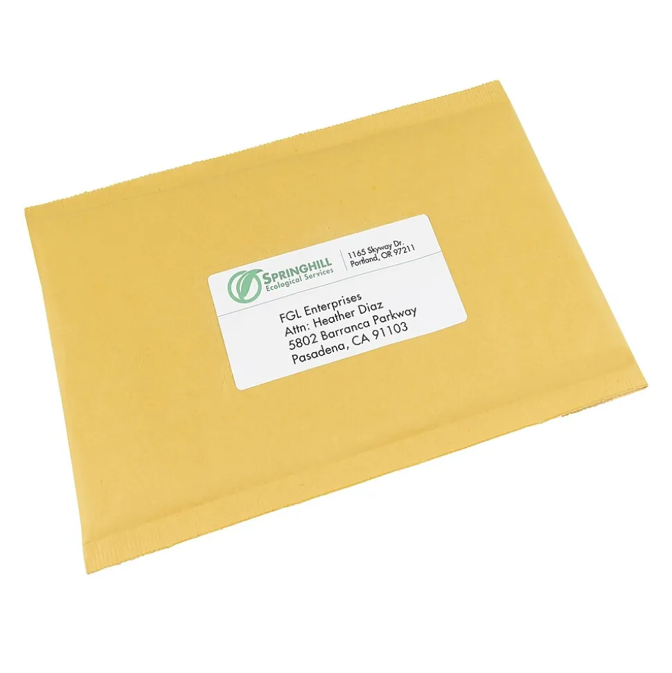 EcoFriendly Laser/Inkjet Shipping Labels, 2" x 4", White, 1,000 Labels/Box (48163) | Avery Outlet