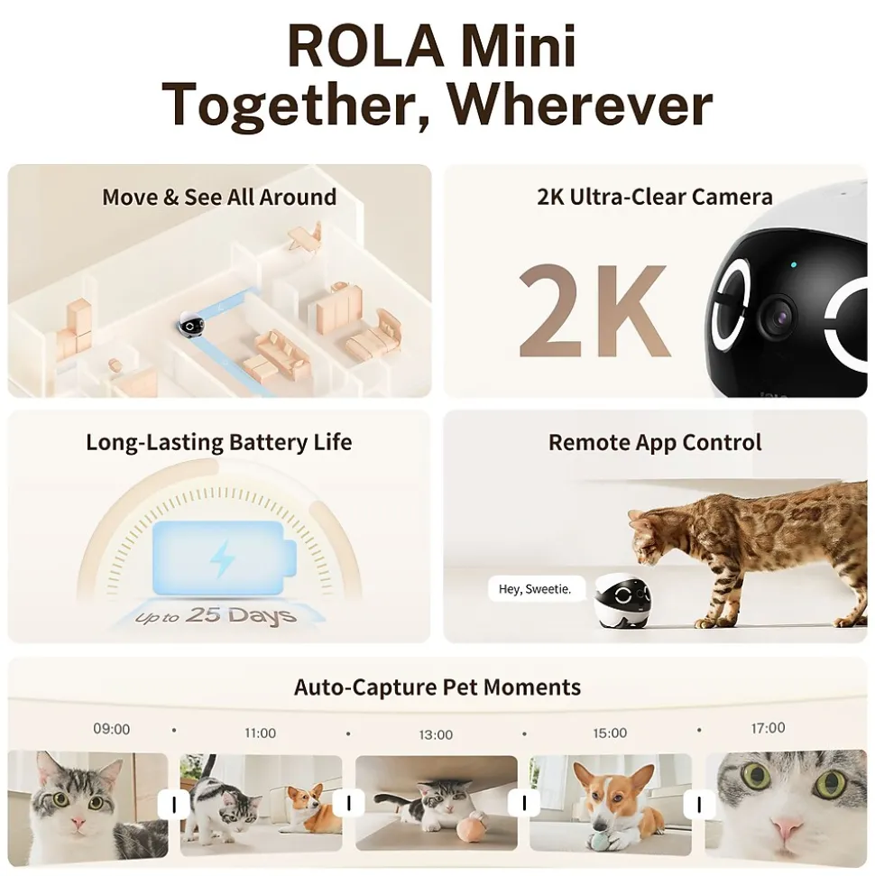 ROLA Mini Companion Robot, Black (ROLA Mini) | Enabot Hot