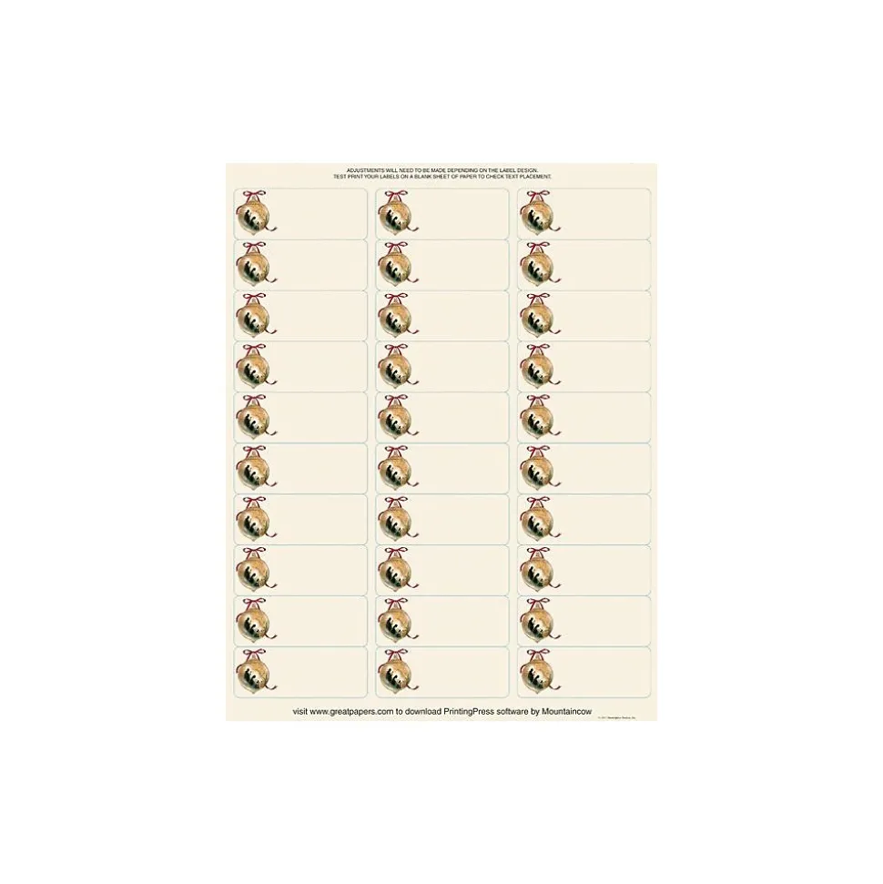 Laser/Inkjet Holiday Address Labels, 1" x 2 5/8", Multicolor, 30 Labels/Sheet, 30 Sheets/Pack (2011849) | Great Papers Shop