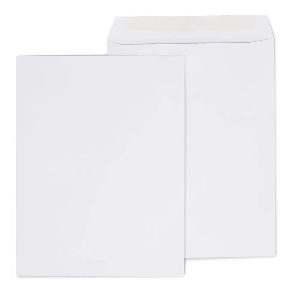 Gummed Catalog Envelopes, 10"L x 13"H, White, 250/Box (486954/17040) | Staples Sale