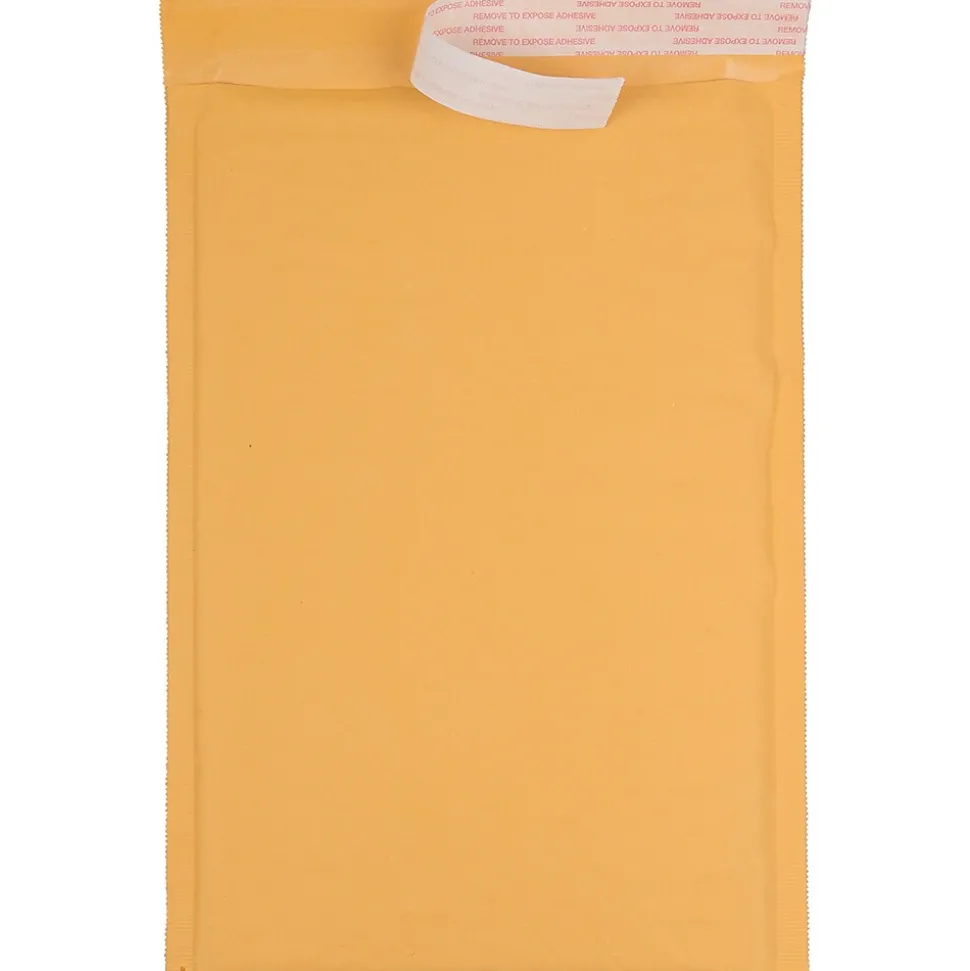 8 1/2" x 13 Bubble Lite Mailer , #3, 25/Pack (1323268) | JAM Paper Outlet