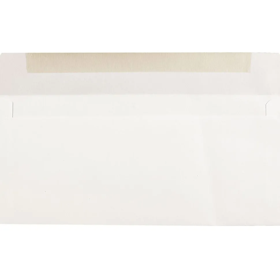 #9 Business Envelope, 3 7/8" x 8 7/8", White, 100/Pack (1633172I) | JAM Paper Best Sale