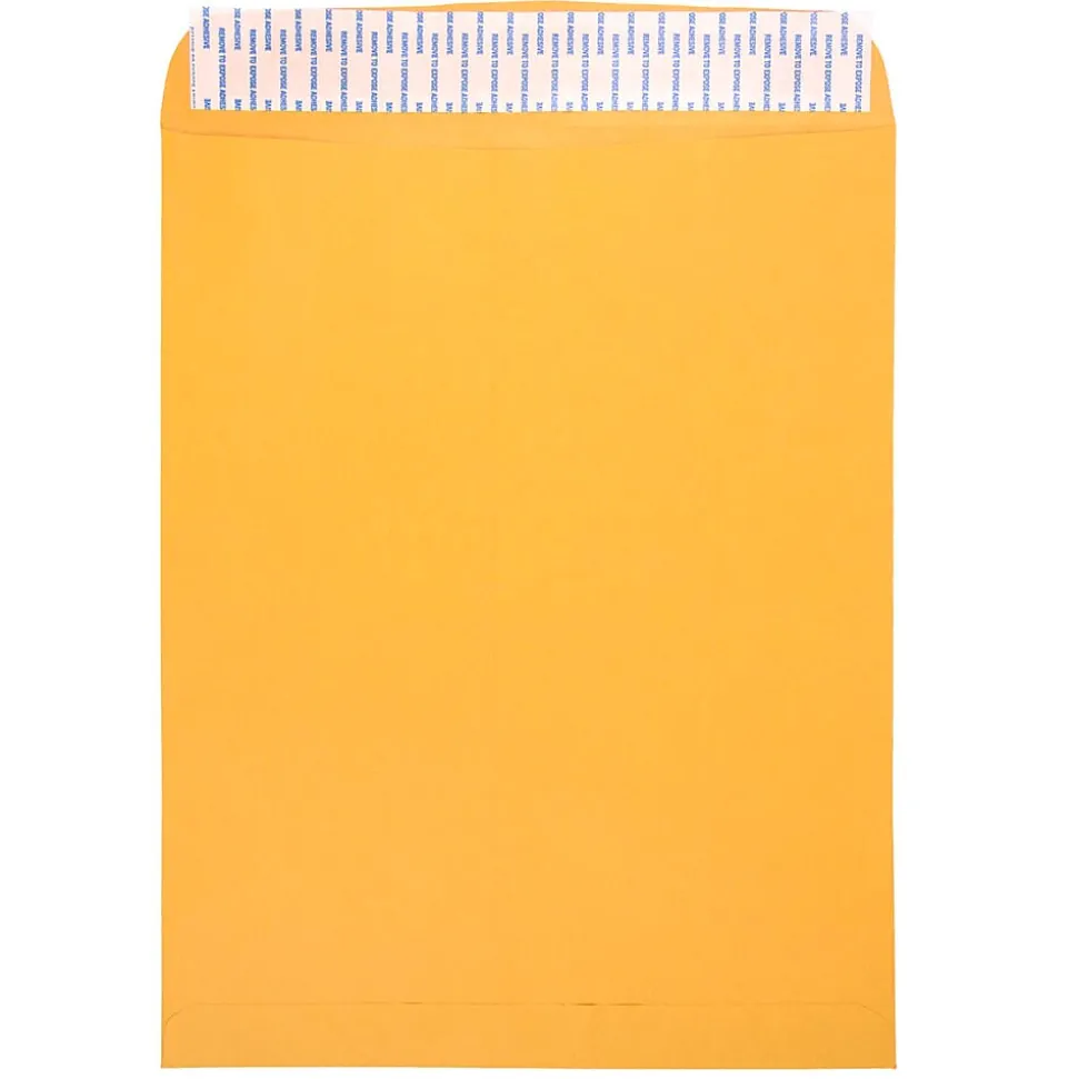 11.5 x 14.5 Kraft Open End Catalog Envelopes with Peel and Seal Closure, Brown Kraft Manila, Bulk 500/Box (13034235c) | JAM Paper Hot