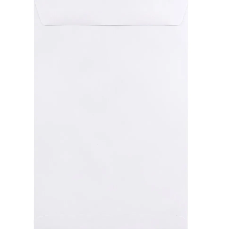 10 x 15 Open End Catalog Envelopes, White, 25/Pack (1623200) | JAM Paper Sale