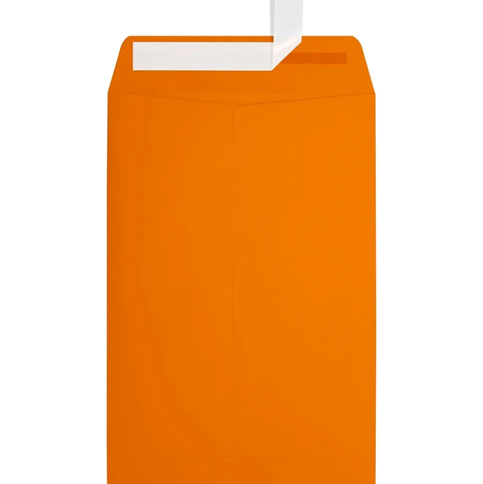 6 x 9 Open End Envelopes ,Mandarin Orange, 50 Pack, Orange (EX1644-11-50) | JAM Paper Flash Sale