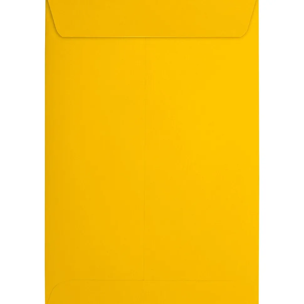 6 x 9 Open End Envelopes, Sunflower Yellow, 50 Pack (EX1644-12-50) | JAM Paper Cheap