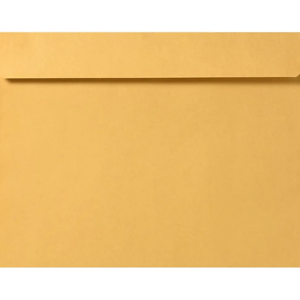 Booklet Envelope 10" x 13", Brown Kraft, 50/Pack (16162-50) | JAM Paper Discount