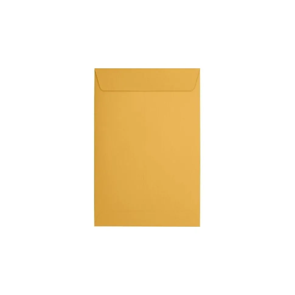 Catalog Envelope 6" x 9", Brown Kraft Manila, 50/Pack (1693i) | JAM Paper Outlet