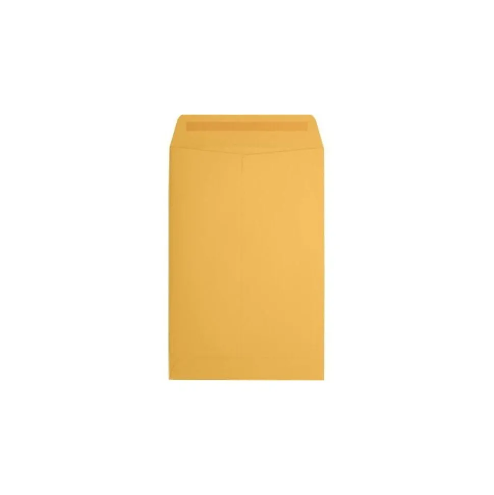 Catalog Envelope 6" x 9", Brown Kraft Manila, 50/Pack (1693i) | JAM Paper Outlet