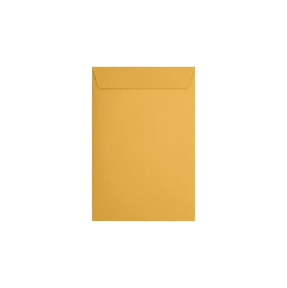 Catalog Envelope 6" x 9", Brown Kraft, 50/Pack (1693-50) | JAM Paper Online