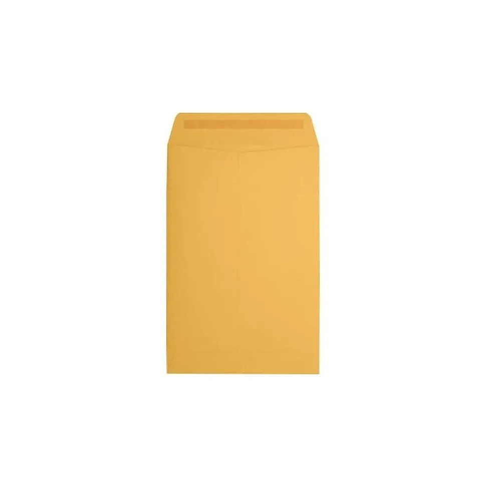 Catalog Envelope 6" x 9", Brown Kraft, 50/Pack (1693-50) | JAM Paper Online