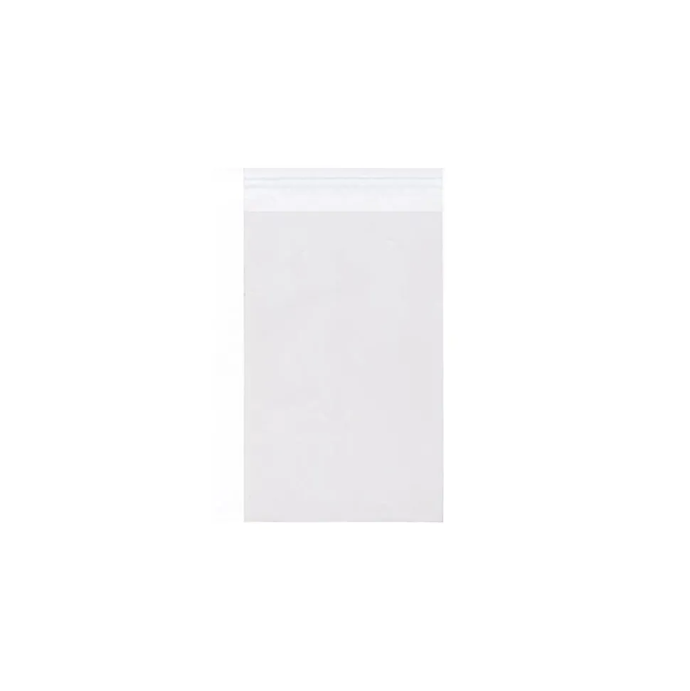 Cellophane Envelope with Peel & Seal Closure, 9.25 x 12.25, Clear, 100/Pack (9.25X12.25CELLO) | JAM Paper Clearance
