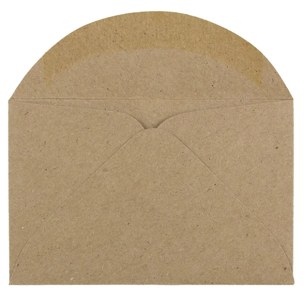 3Drug Mini Recycled Kraft Envelopes, 2.3125 x 3.625, Brown Kraft Paper Bag, 100/Pack (5207691A) | JAM Paper Clearance