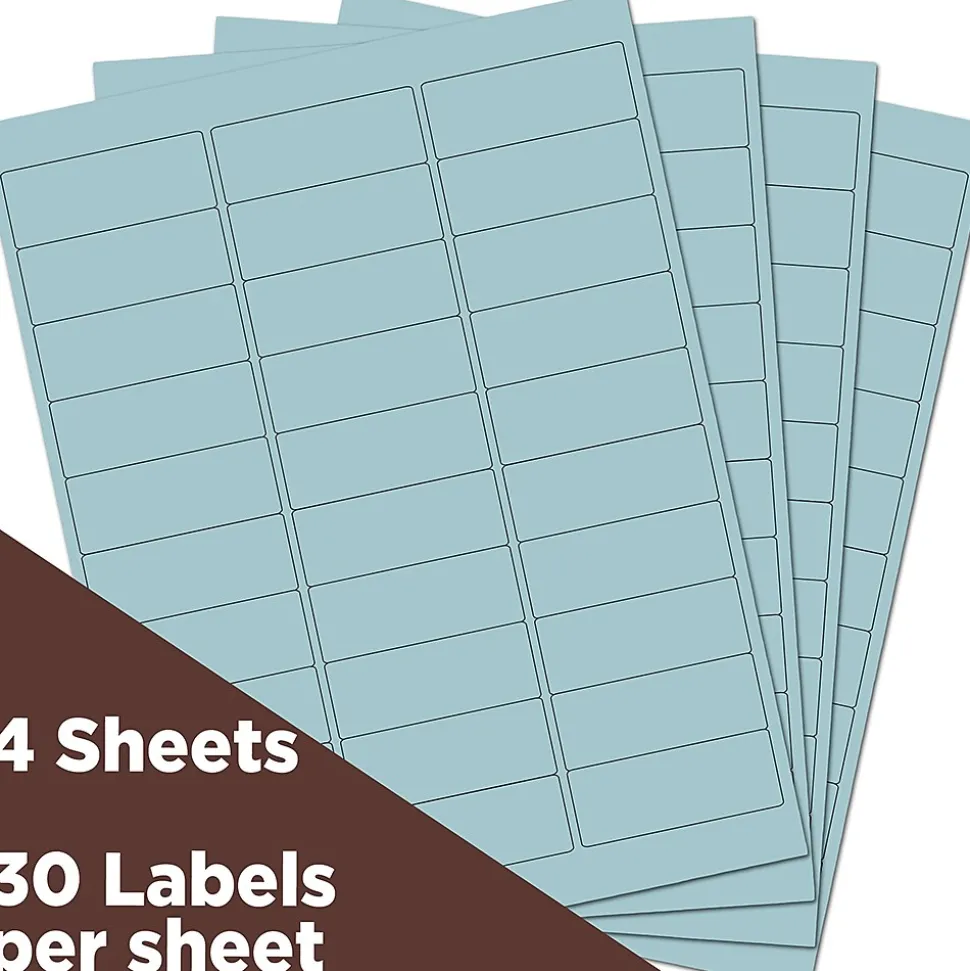 Laser/Inkjet Address Label, 1" x 2 5/8", , 30 Labels/Sheet, 4 Sheets/Pack (4052894) | JAM Paper Cheap