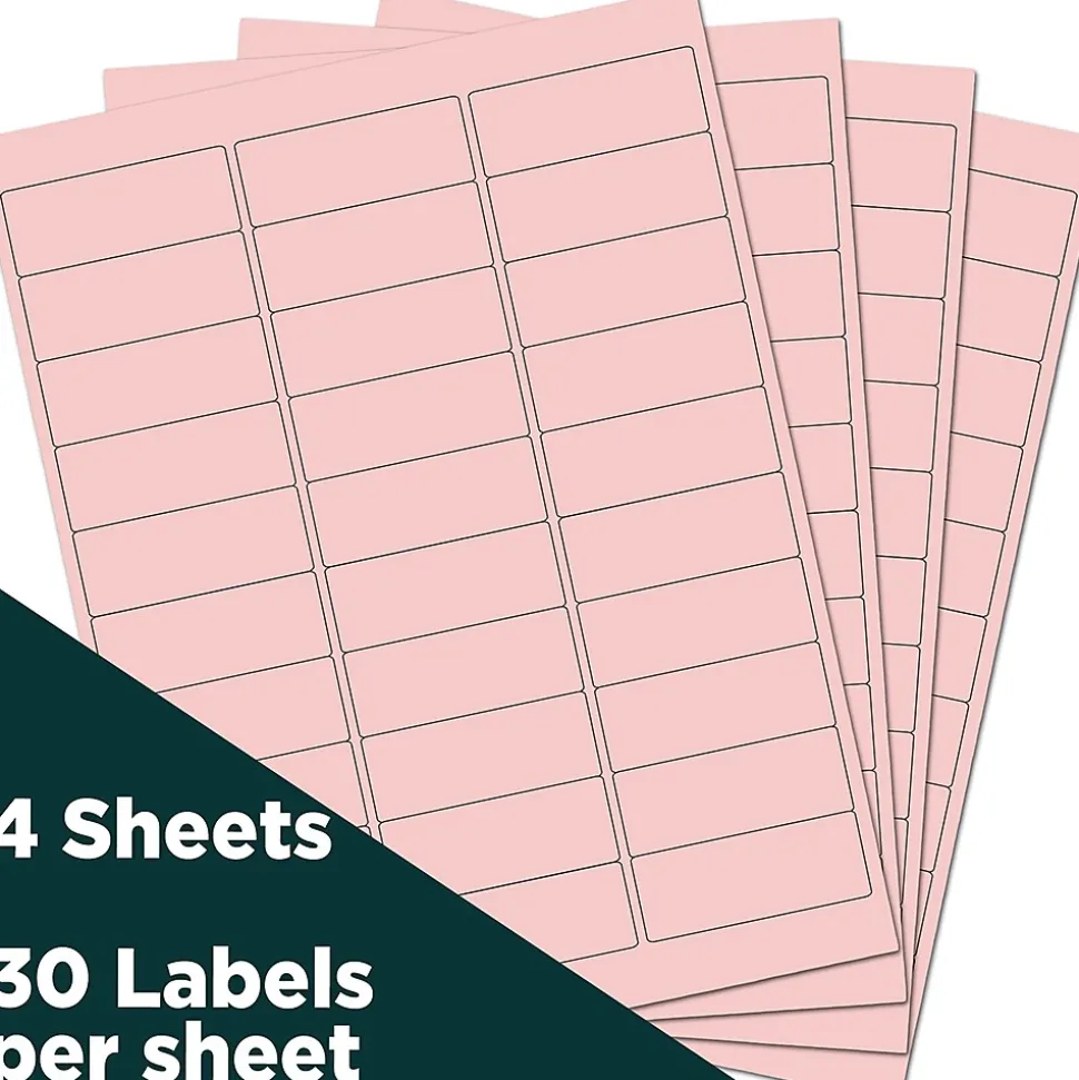 Laser/Inkjet Address Label, 1" x 2 5/8", , 30 Labels/Sheet, 4 Sheets/Pack (4052895) | JAM Paper Cheap