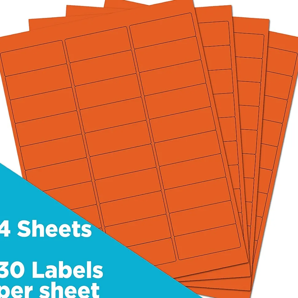 Laser/Inkjet Mailing Address Label, 1" x 2 5/8", , 30 Labels/Sheet, 4 Sheets/Pack (302725782) | JAM Paper Discount