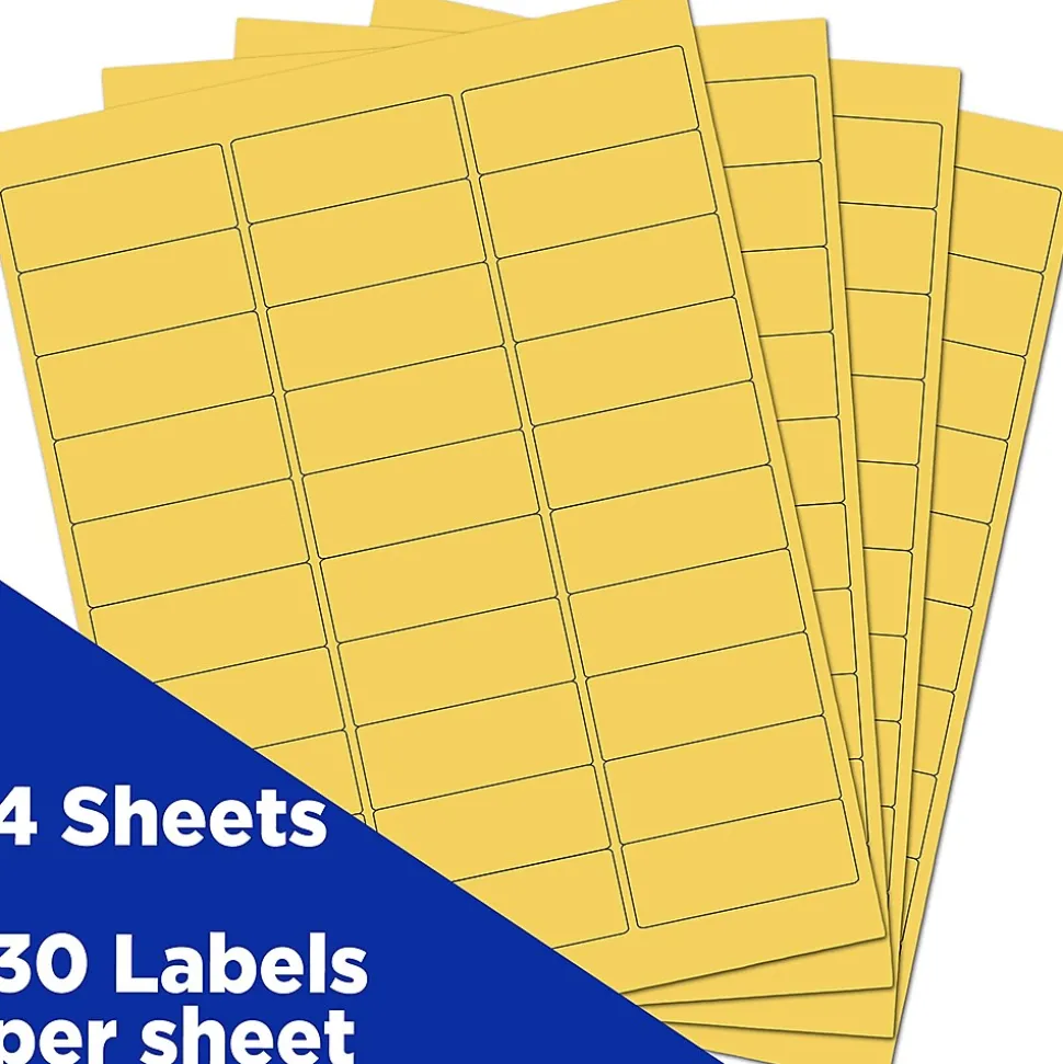 Laser/Inkjet Mailing Address Label, 1" x 2 5/8", , 30 Labels/Sheet, 4 Sheets/Pack (302725801) | JAM Paper Store
