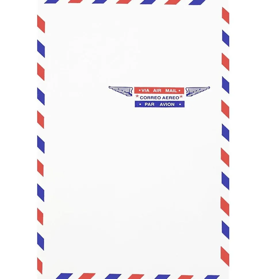 Open End Catalog Envelope, 6" x 9", White, 25/Pack (1430743) | JAM Paper Best Sale
