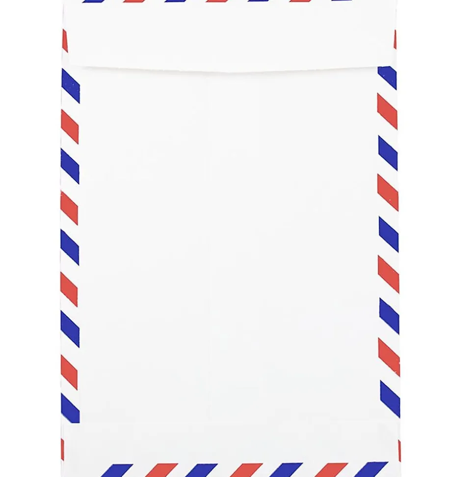 Open End Catalog Envelope, 6" x 9", White, 25/Pack (1430743) | JAM Paper Best Sale