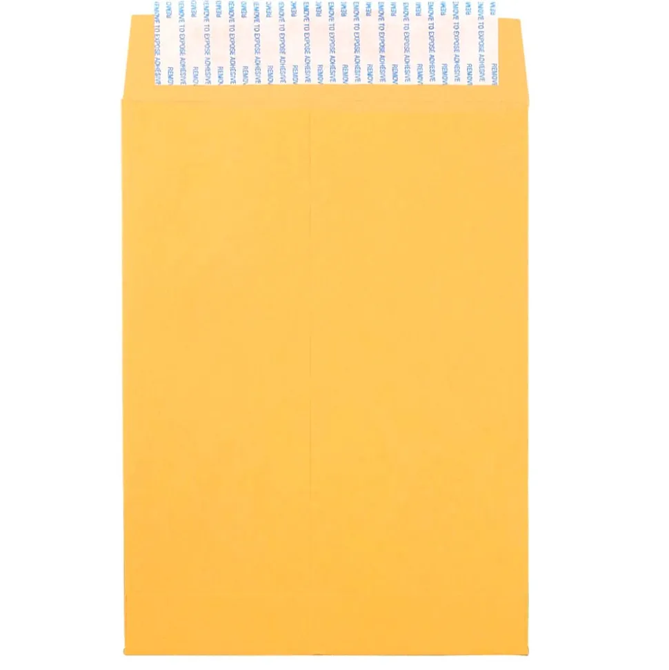 Peel & Seal Kraft Open End Catalog Envelope, 6 1/2" x 9 1/2", Brown, 500/Pack (13034229C) | JAM Paper Flash Sale