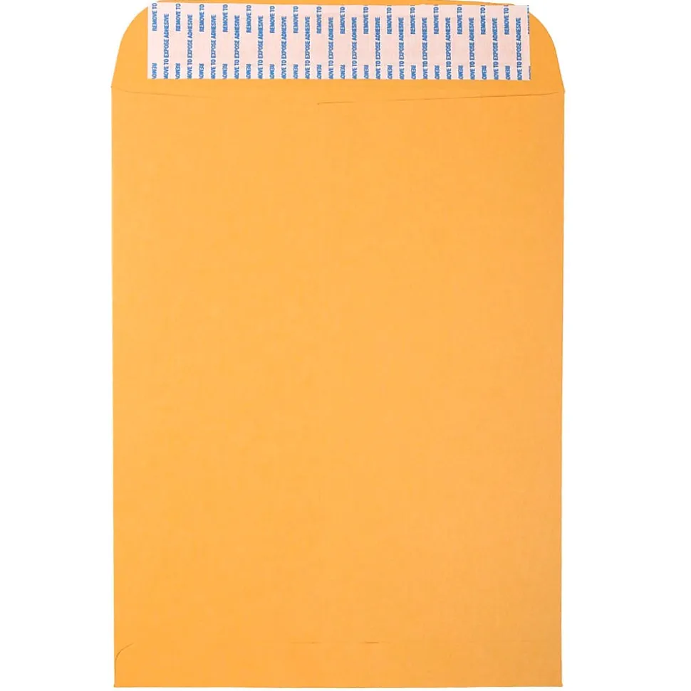 Peel & Seal Kraft Open End Catalog Envelope, 9 1/2" x 12 1/2", Brown, 500/Pack (13034232C) | JAM Paper Sale