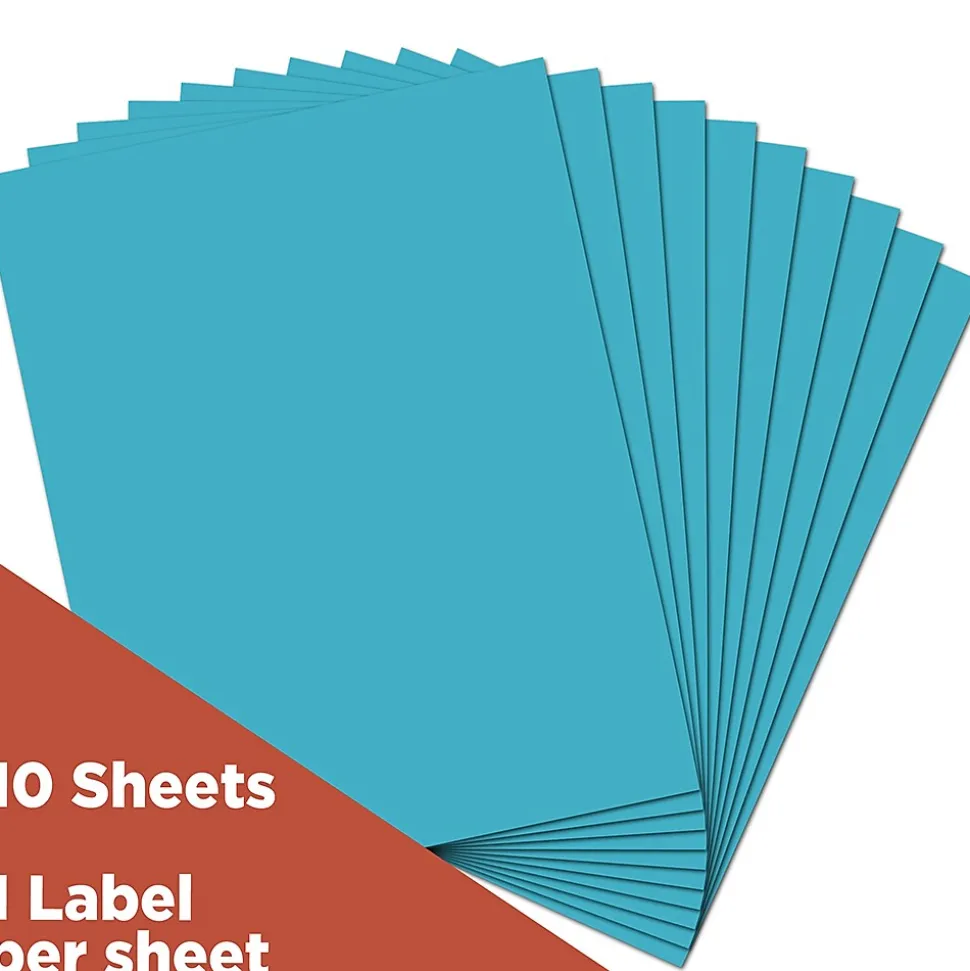 Shipping Labels, 8 1/2" x 11", , 1 Label/Sheet, 10 Labels/Pack (337628605) | JAM Paper Sale