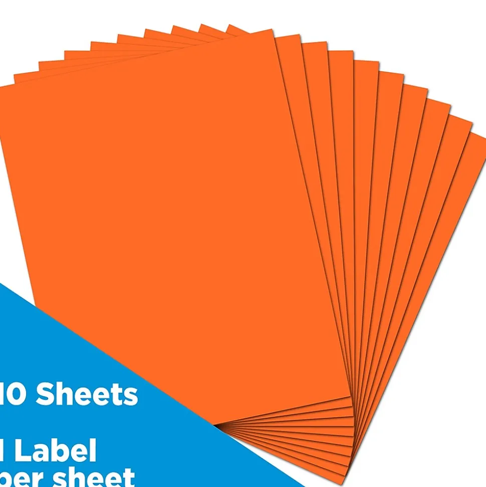 Shipping Labels, 8-1/2" x 11", , 1 Label/Sheet, 10 Labels/Pack (337628612) | JAM Paper Flash Sale