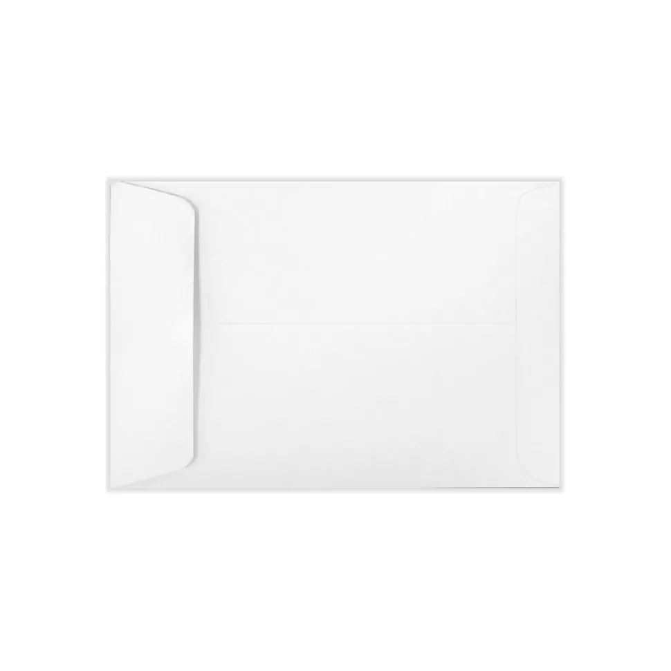 6 1/2 x 9 1/2 Open End Envelopes 50/Pack, 24lb. Bright White (1941-50) | LUX New