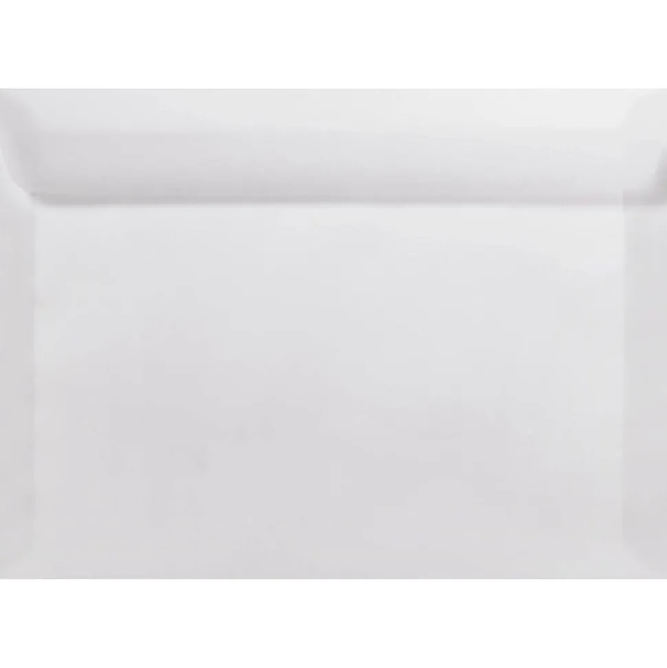 6 x 9 Booklet Envelopes 50/Pack, Clear Translucent (E4820-00-50) | LUX New