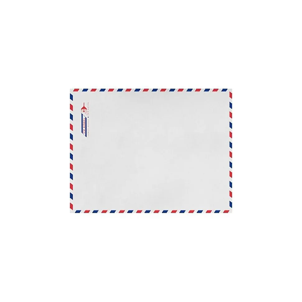 6 x 9 Kraft Open End Envelopes (6 x 9) - Airmail - Pack of 50 (2444794) | LUX Fashion