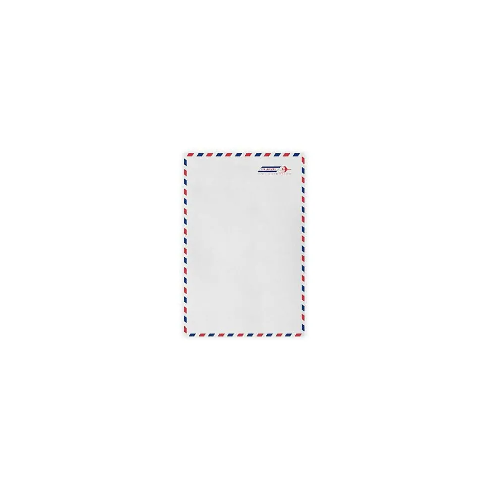 9 x 12 Open End Envelopes (9 x 12) - Airmail - Pack of 50 (2444749) | LUX Best