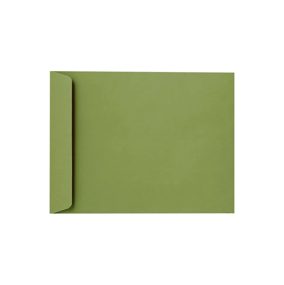 10 x 13 Open End Envelopes 250/Pack, Avocado (EX4897-27-250) | LUX Sale