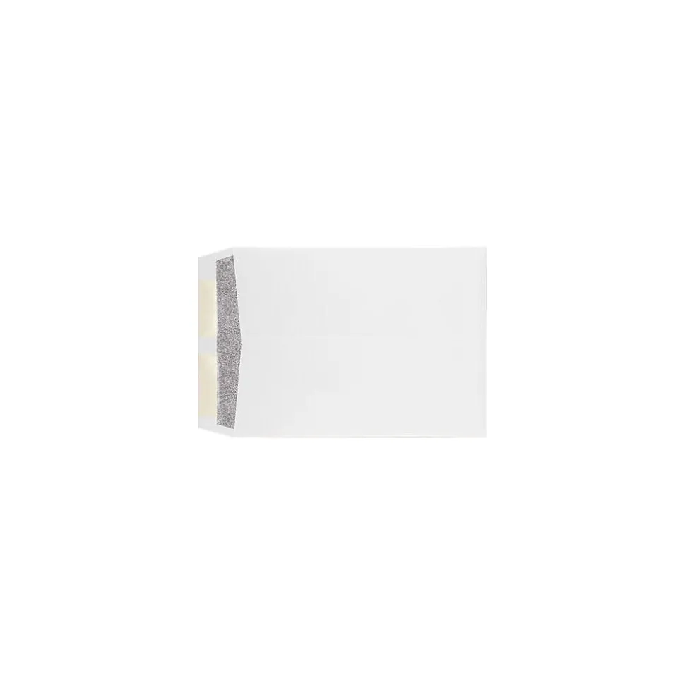 Kraft Open End Envelopes with Security Tint, 9" x 12", White, 500/Pack (WS-4894-ST-500) | LUX Shop