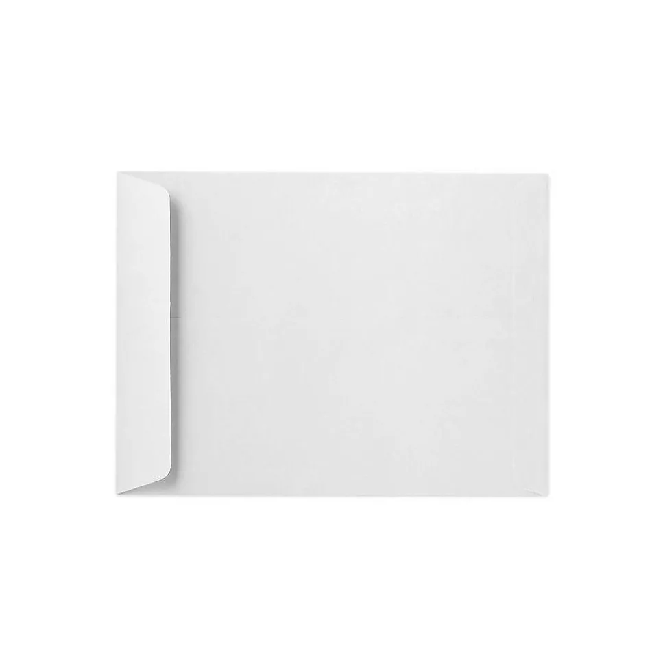 Open End Catalog Envelopes, 11" x 17", Bright White, 250/Pack (85923-250) | LUX Store