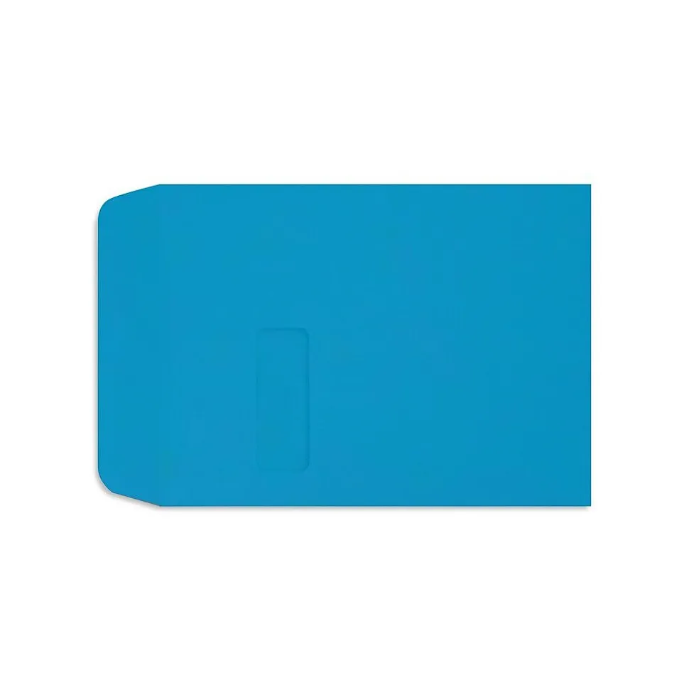 Open End Open End Window Envelope, 9" x 12", Pool Blue, 250/Pack (1590102-250) | LUX Shop