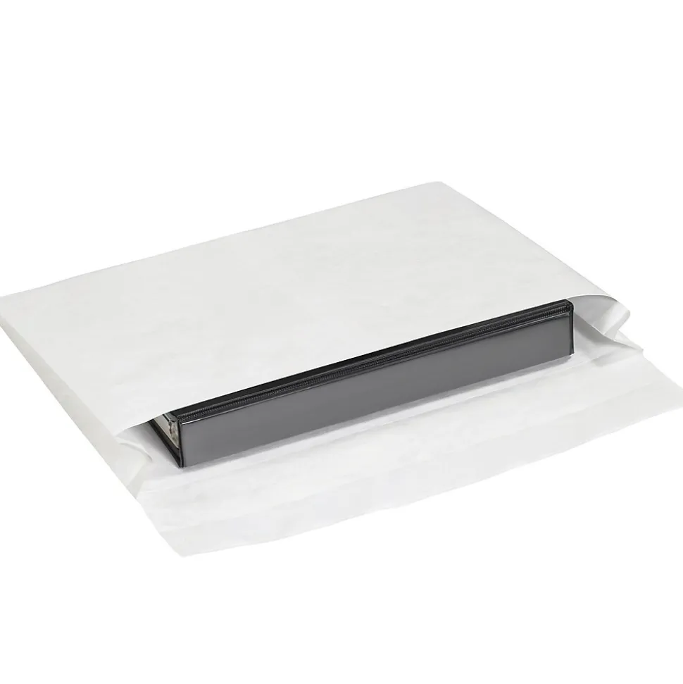 Partners Brand Expandable Envelopes, 10" x 15" x 2", White, 100/Case (TYE10152WS) | Tyvek Hot