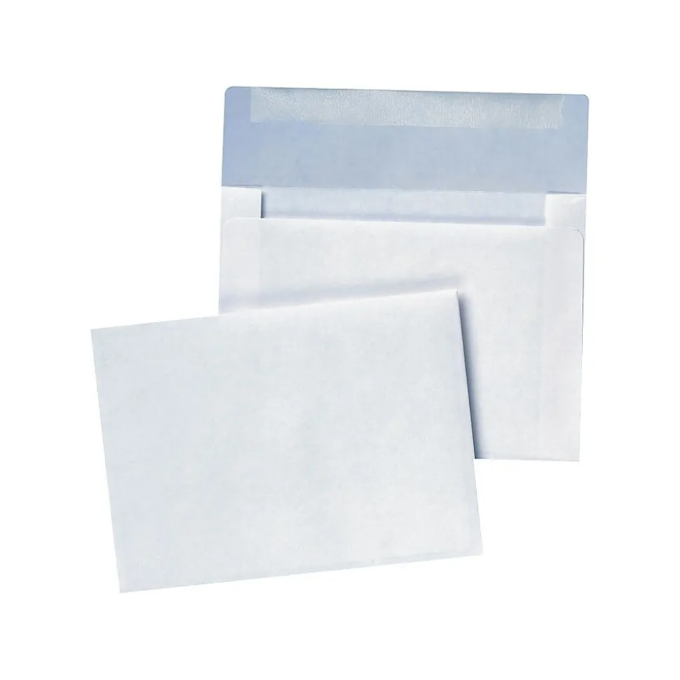 Booklet Envelope 4 3/4" x 6 1/2", White, 100/Box (QUA36417) | Quality Park Sale