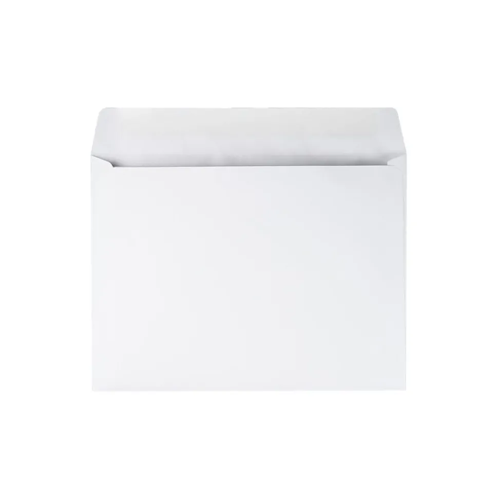 Gummed Booklet Envelopes, 9" x 12", White Wove, 250/Box (QUA37682) | Quality Park Hot
