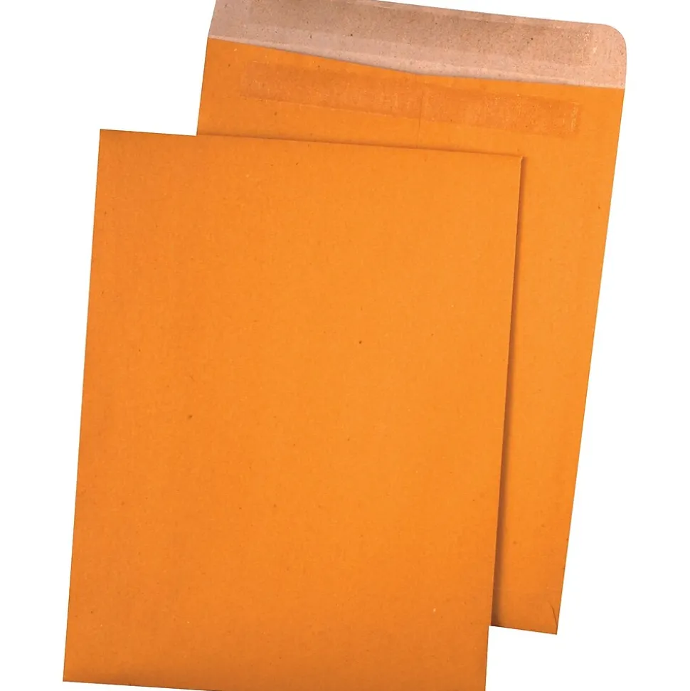 Redi-Seal Kraft Catalog Envelope, 9" x 12", Brown, 100/Box (43511) | Quality Park Fashion