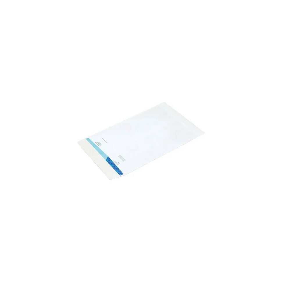 Self Seal Catalog Envelope 6" x 9", White, 100/Carton (SLF0609WH) | Ship-Lite Online