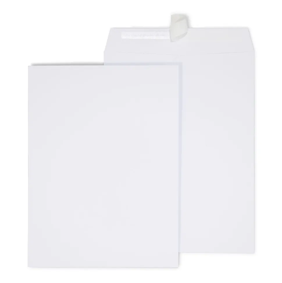 EasyClose Catalog Envelopes, 9"L x 12"H, White, 250/Box (479885N) | Staples Flash Sale