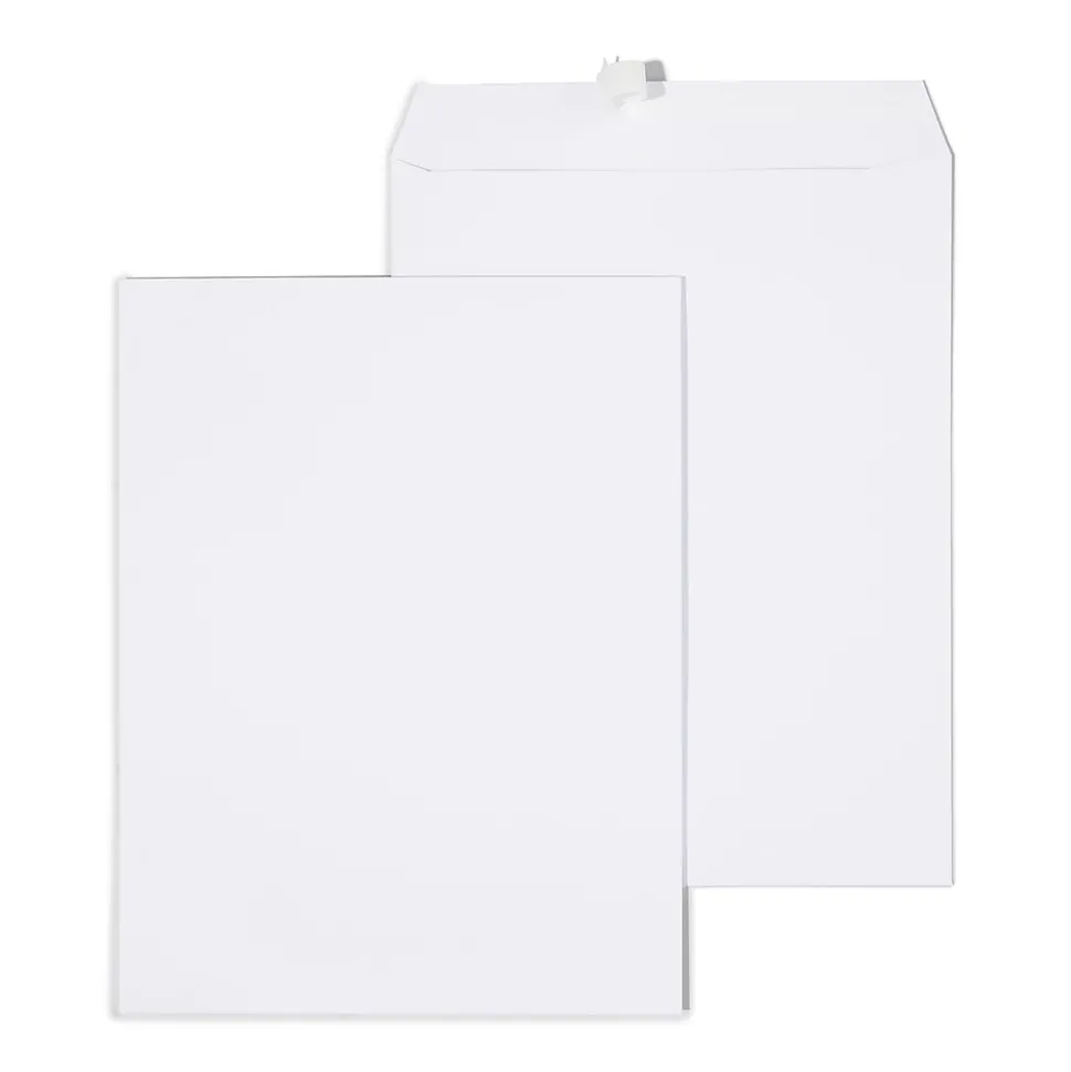 EasyClose Catalog Envelopes, 10"L x 13"H, White, 250/Box (SPL479886) | Staples Clearance