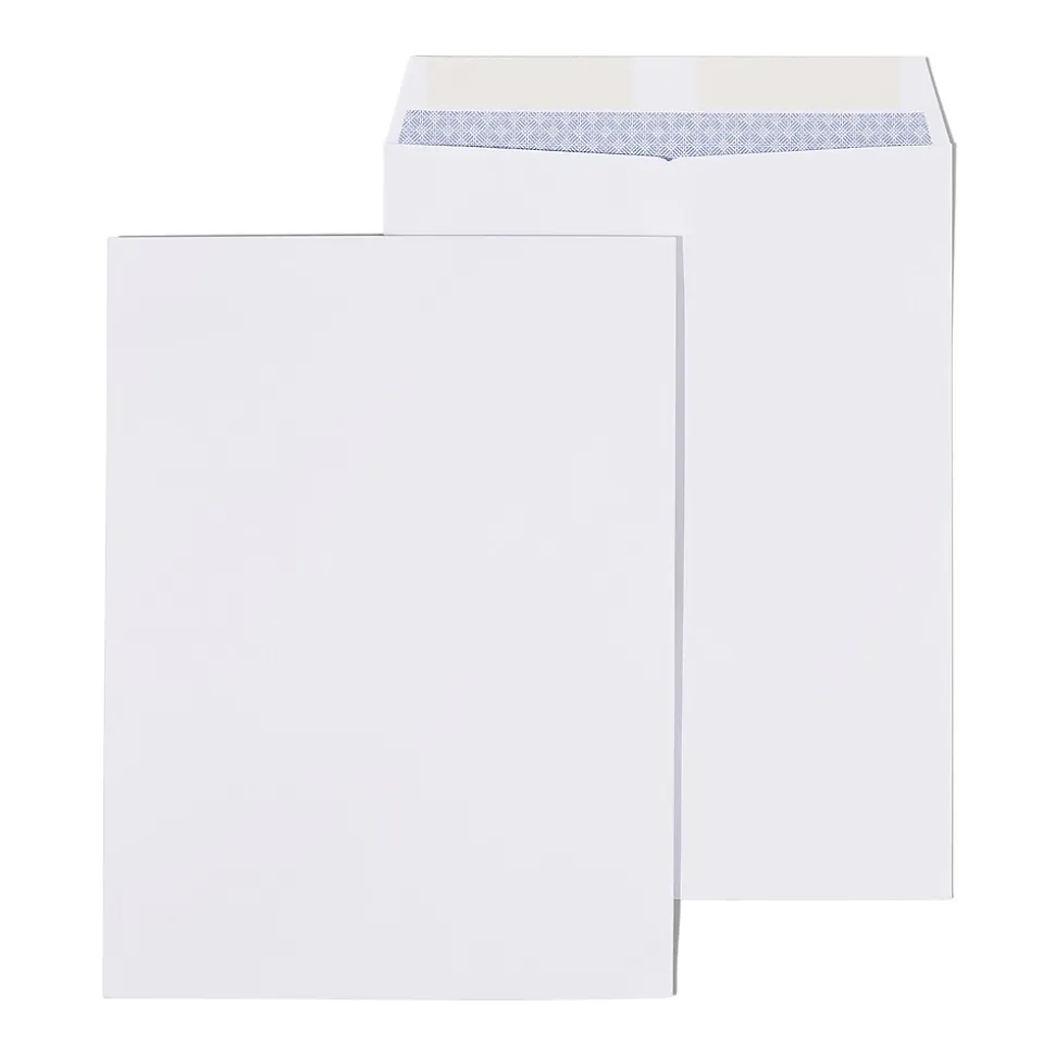 Gummed Catalog Envelopes, 9" x 12", White, 25/Pack (ST579712N-CC) | Staples Flash Sale