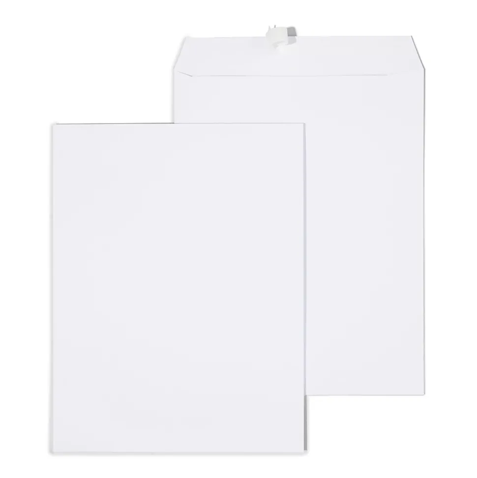 Gummed Catalog Envelopes, 10"L x 13"H, White, 100/Box (295840N) | Staples Sale