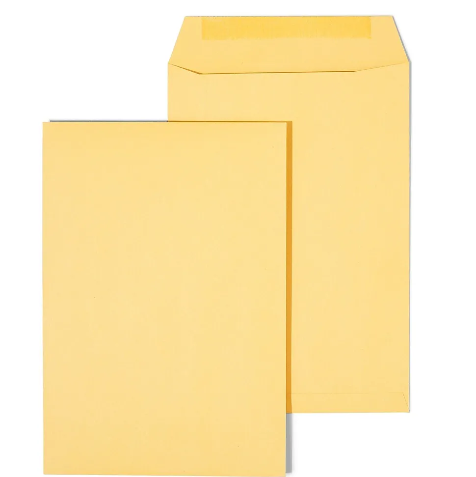 Gummed Kraft Catalog Envelopes, 6.5" x 9.5", Brown, 100/Box (SPL534701) | Staples New