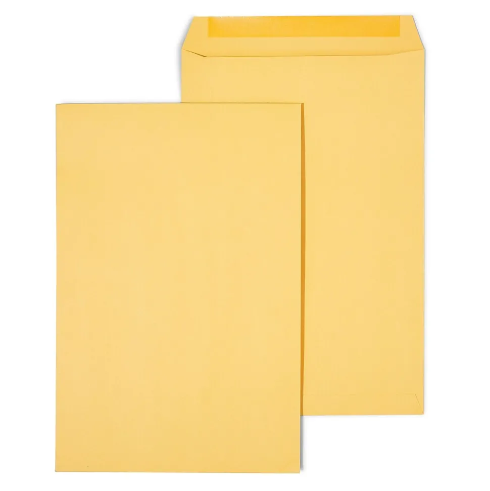 Gummed Kraft Catalog Envelopes, 10"L x 15"H, Brown, 100/Box (SPL534768) | Staples Best Sale