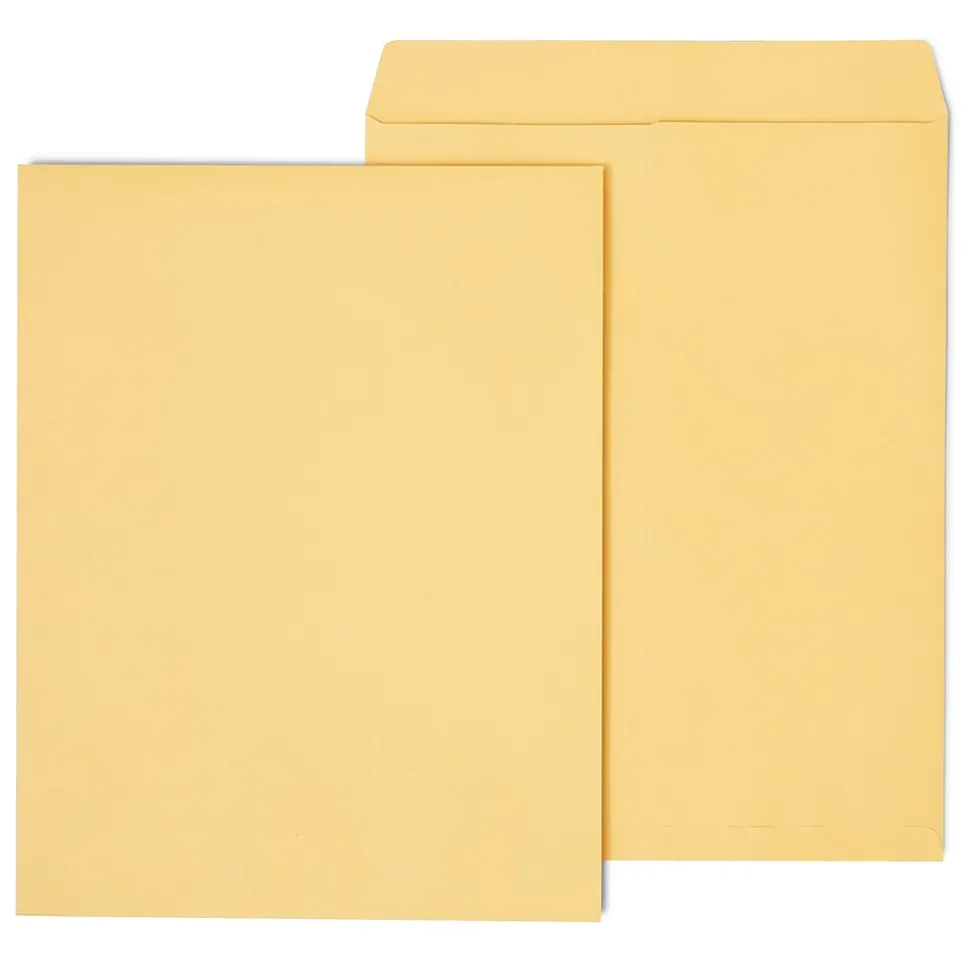 Open End Kraft Catalog Envelopes, 14"L x 18"H, Brown, 25/Pack (SPL195776) | Staples Sale