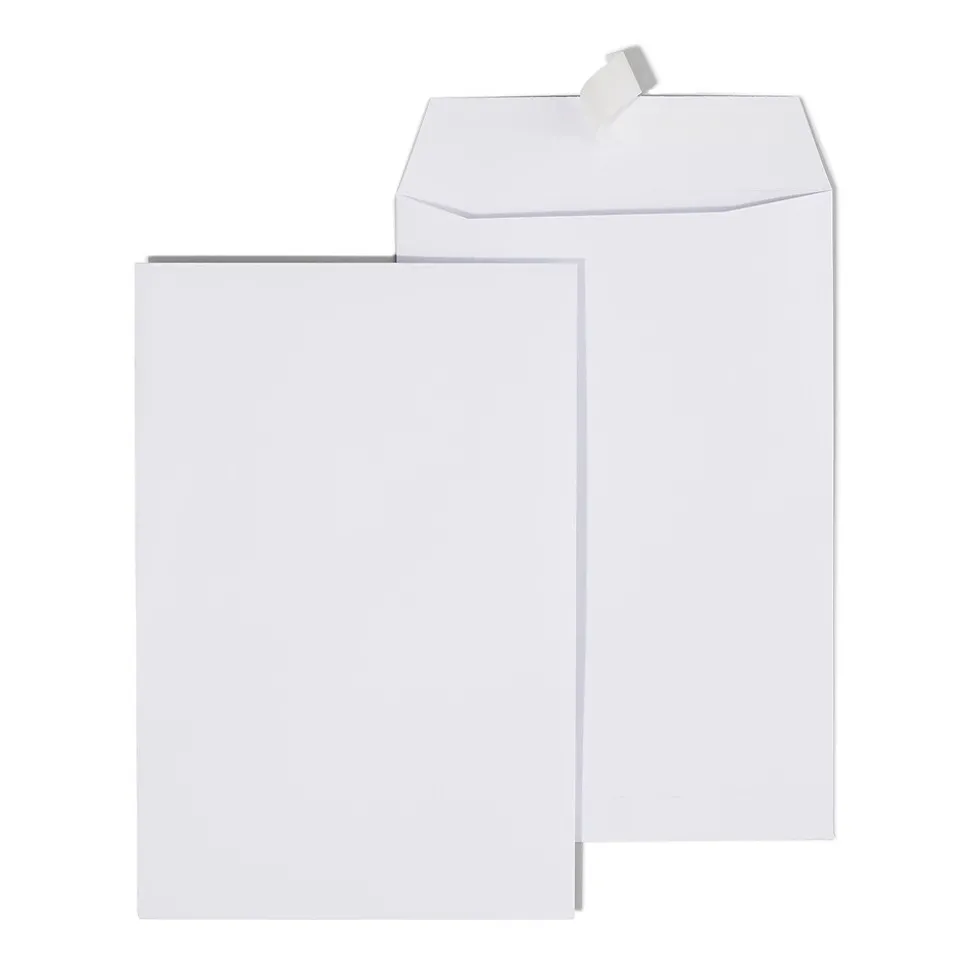 QuickStrip EasyClose Self Seal #1 Catalog Envelopes, 6" x 9", White, 100/Box (ST892099N-CC) | Staples Discount