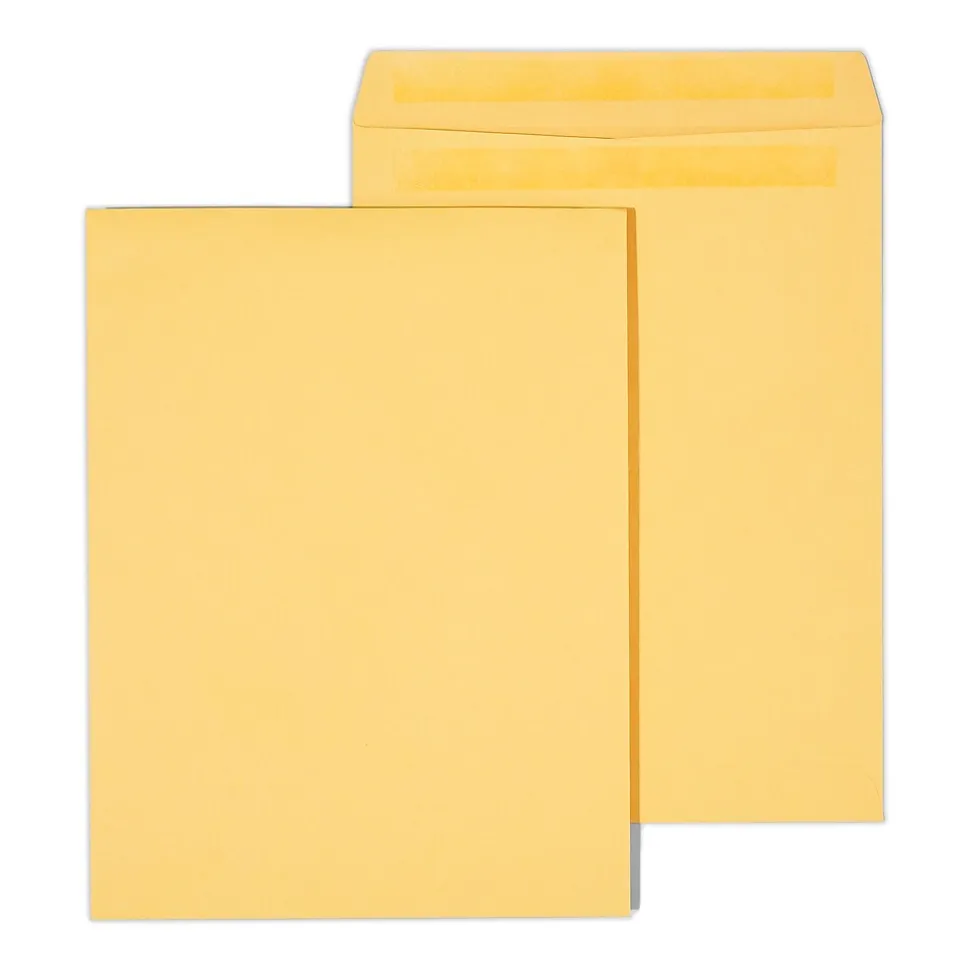 Self Seal #13 1/2 Kraft Catalog Envelope, 10" x 13", Brown, 250/Box (ST486933-CC) | Staples Flash Sale